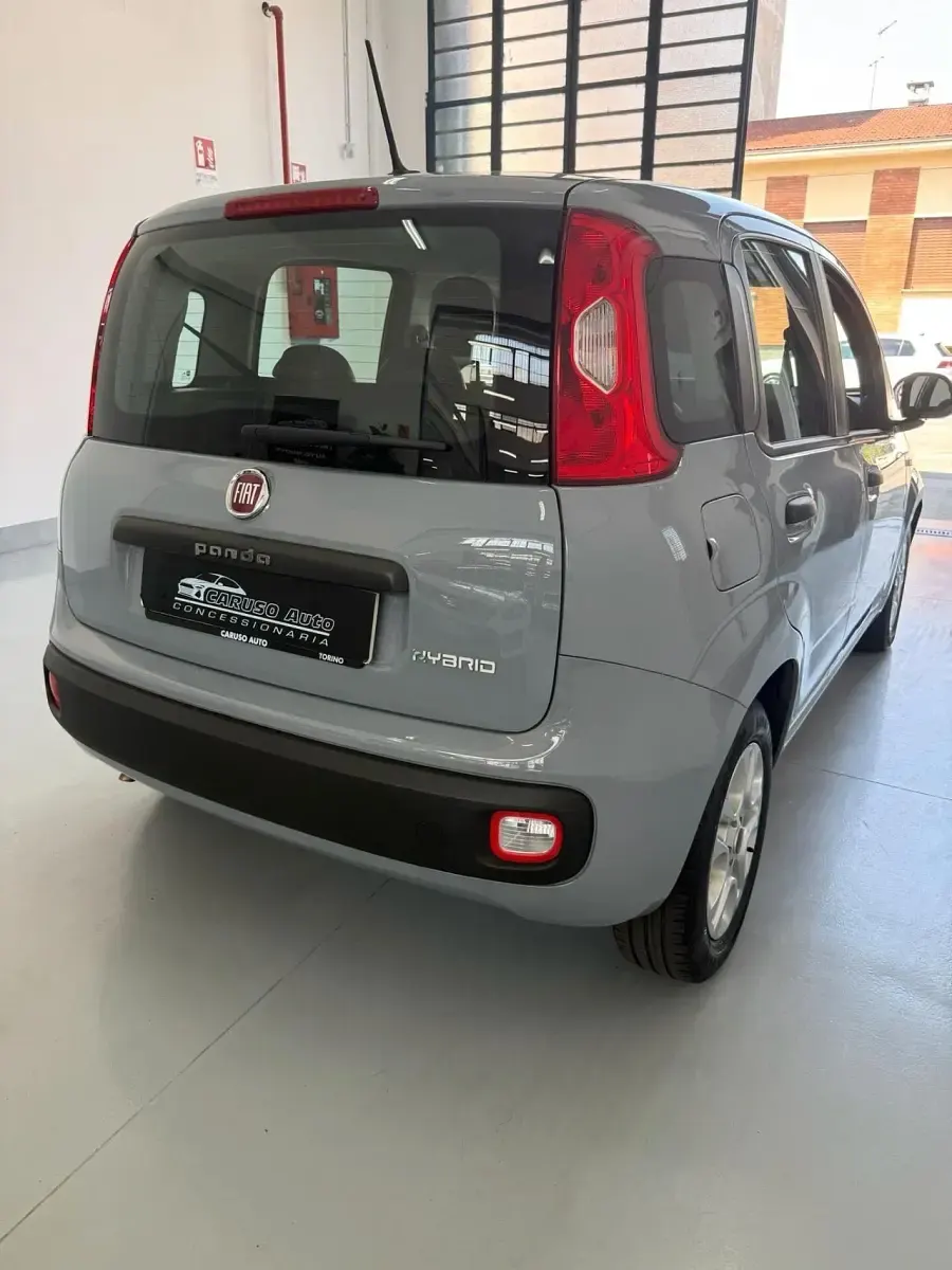 Usata Fiat Panda Cross Cross 69 CV (50 kW) 2021 Grigio Utilitaria