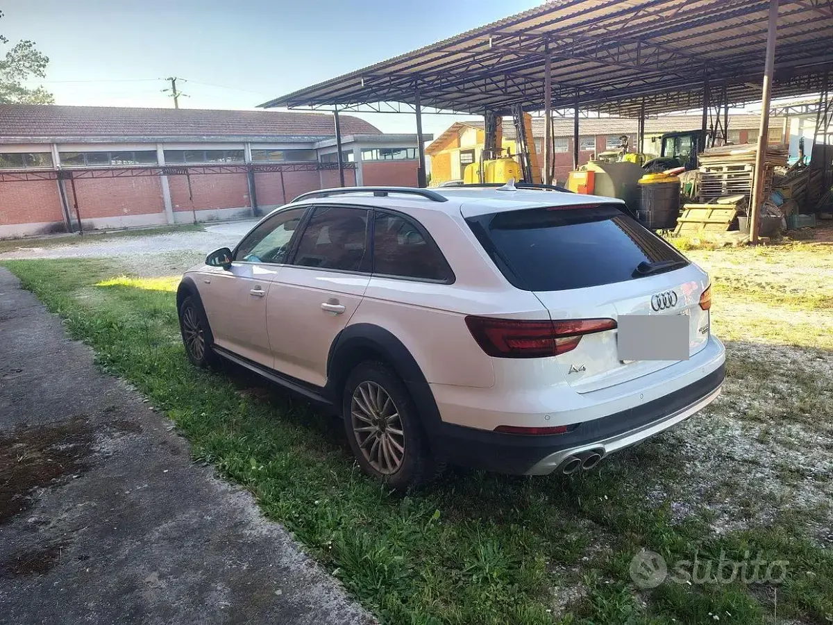 Usata Audi A4 Allroad Business 190 CV (139 kW) 2018 Bianco Station wagon