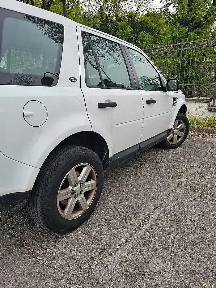 Usata Land Rover Freelander 2 241 CV (177 kW) 2014 Bianco SUV
