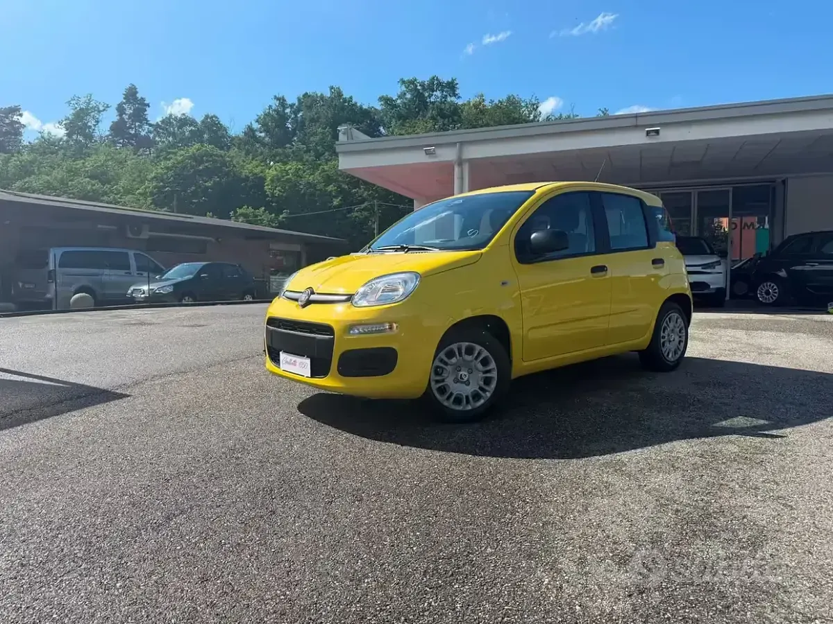 Nuova Fiat Panda Pop 65 CV (47 kW) 2026 Giallo positano (509) Utilitaria