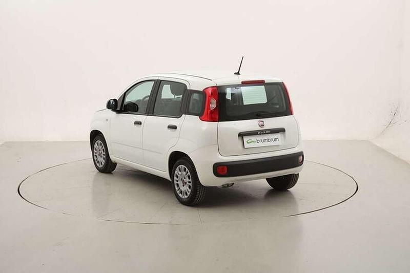 Usata Fiat Panda Easy 69 CV (50 kW) 2020 Bianco Utilitaria