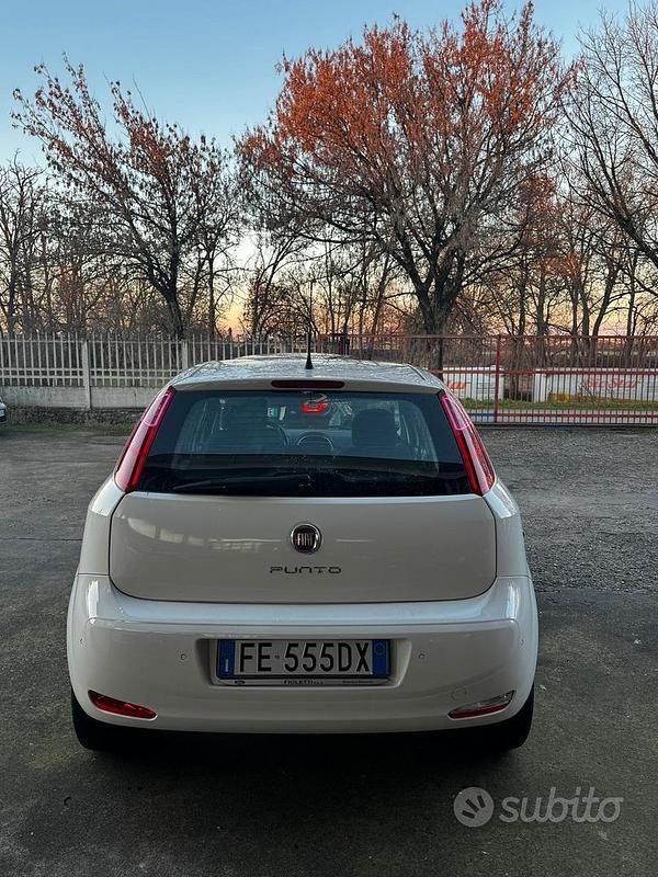 Usata Fiat Punto Evo 2016 Utilitaria