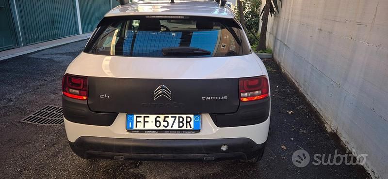 Usata Citroën C4 Cactus 2016 Bianco Utilitaria