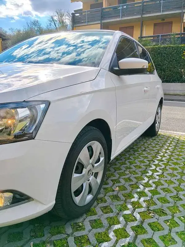 Usata Skoda Fabia Active 75 CV (55 kW) 2017 Bianco Berlina