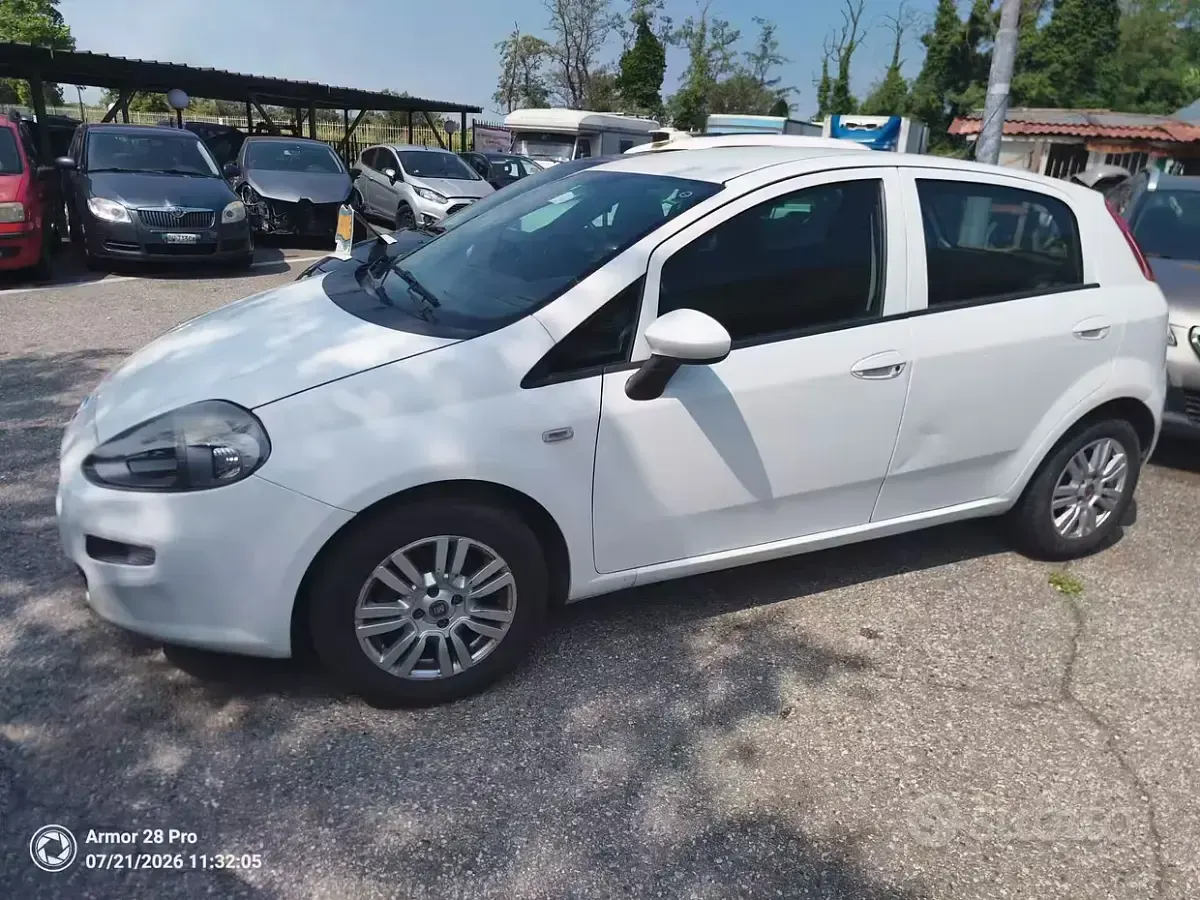 Usata Fiat Punto Lounge 69 CV (50 kW) 2016 Bianco Utilitaria