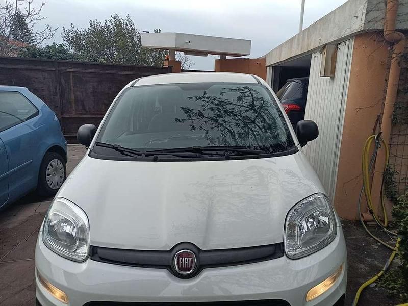 Usata Fiat Panda Easy 69 CV (50 kW) 2018 Bianco Utilitaria