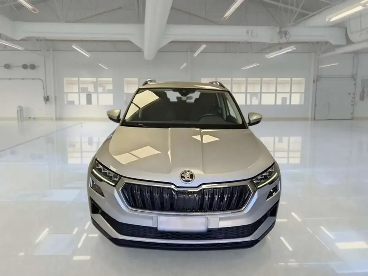 Usata Skoda Karoq Executive 116 CV (85 kW) 2023 Argento SUV