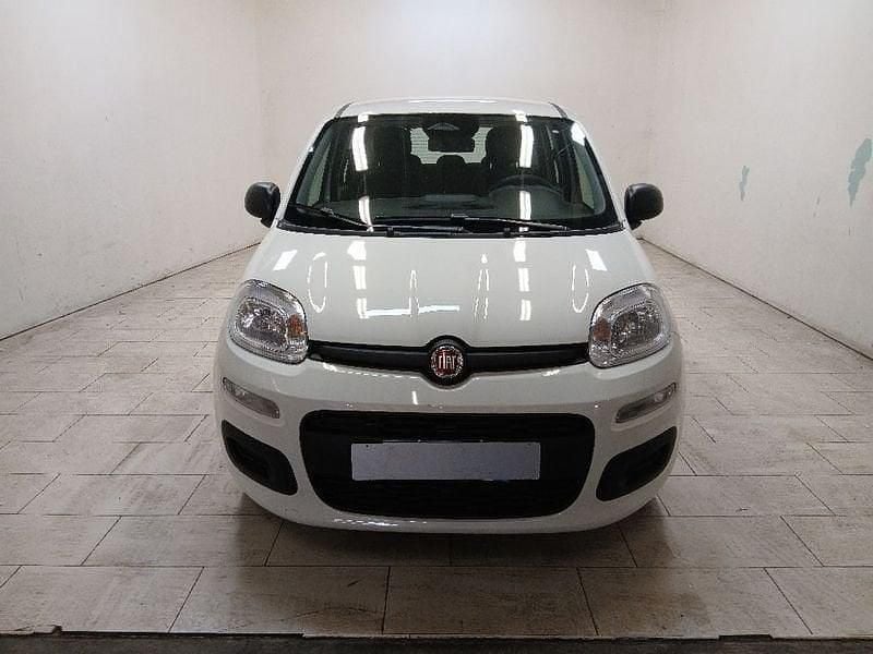 Nuova Fiat Panda Icon 69 CV (50 kW) 2025 Bianco Berlina
