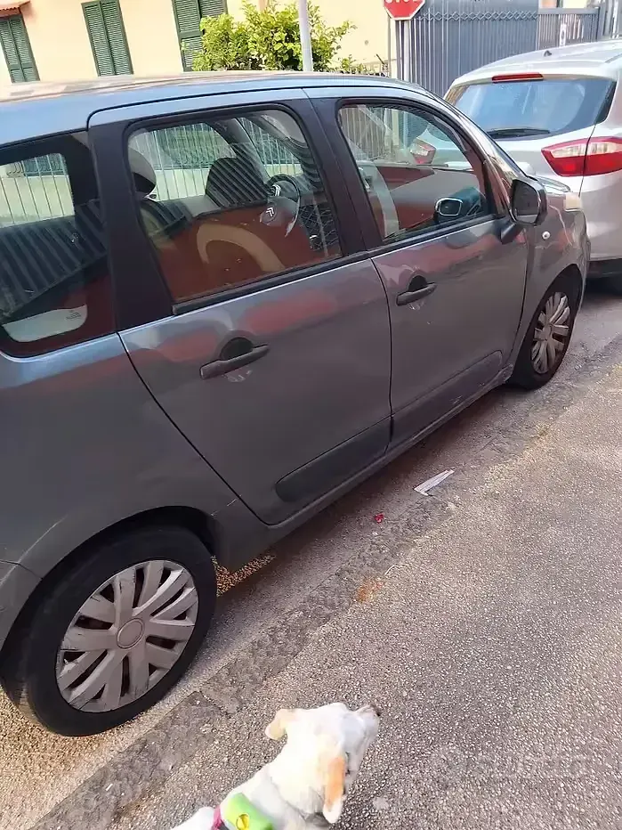 Usata Citroën C3 Picasso 90 CV (66 kW) 2009 Monovolume