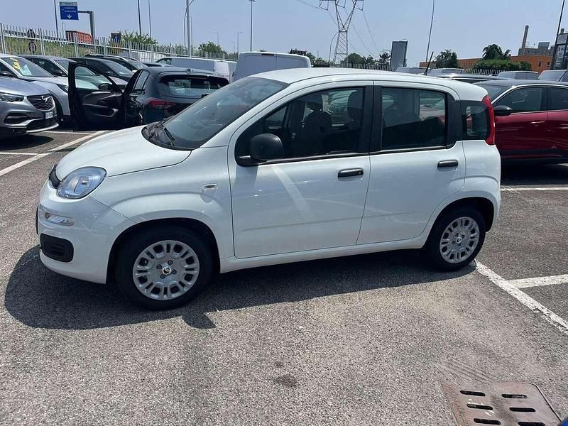 Nuova Fiat Panda S 70 CV (51 kW) 2025 Bianco Utilitaria