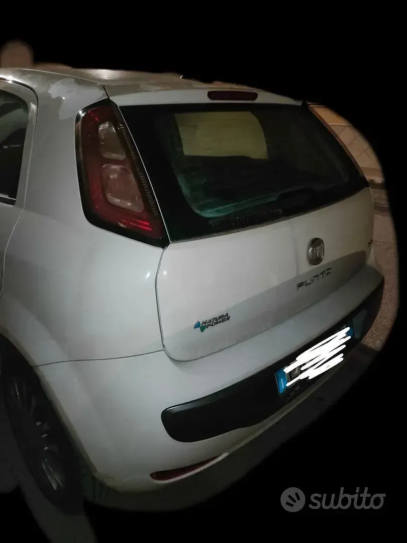 Usata Fiat Punto Evo 2009 Bianco Utilitaria