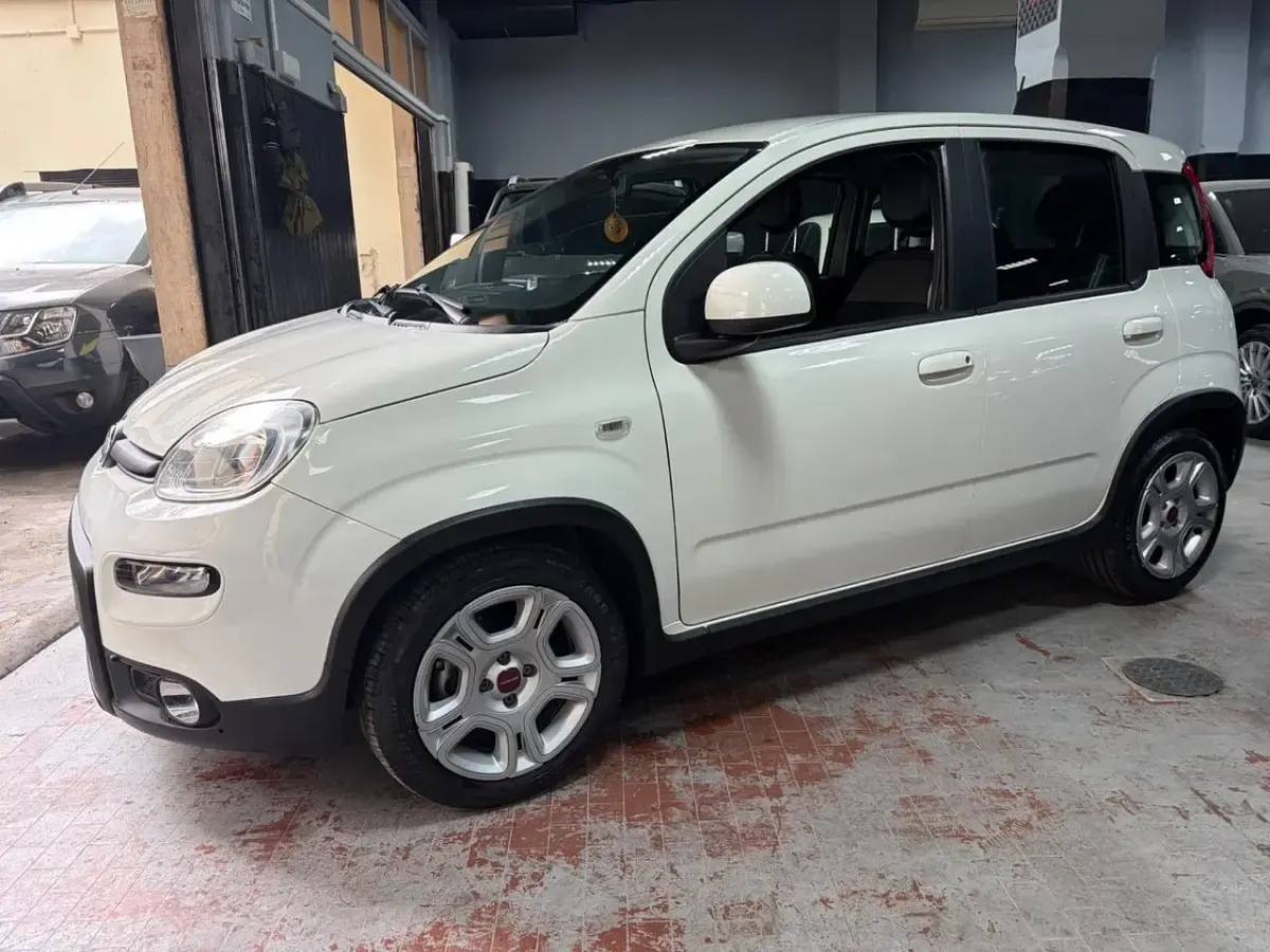 Usata Fiat Panda Cross Cross 71 CV (52 kW) 2024 Bianco Utilitaria