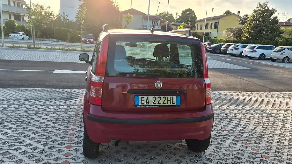 Usata Fiat Panda 60 CV (44 kW) 2009 Rosso Utilitaria