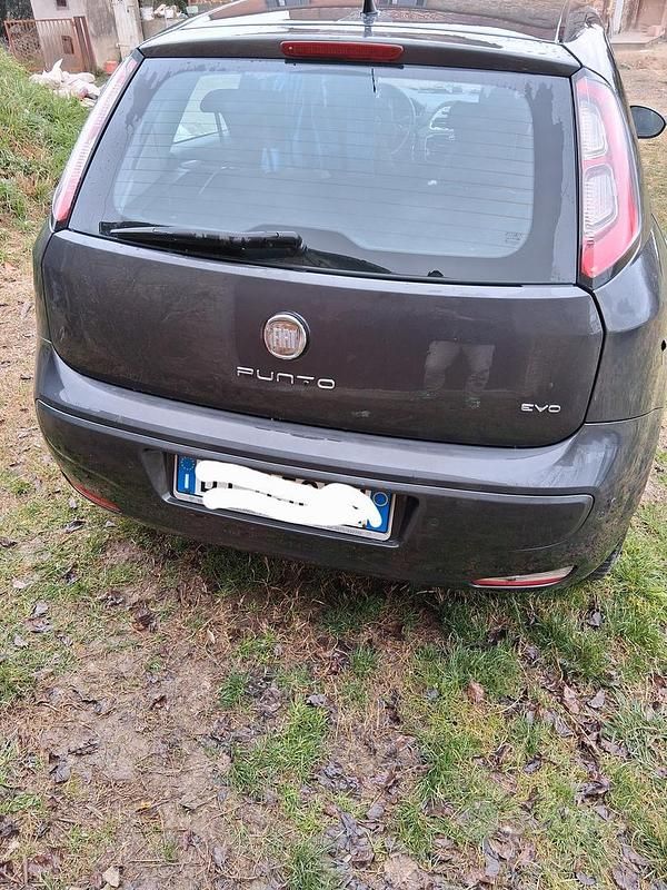 Usata Fiat Punto Evo 2009 Grigio Utilitaria
