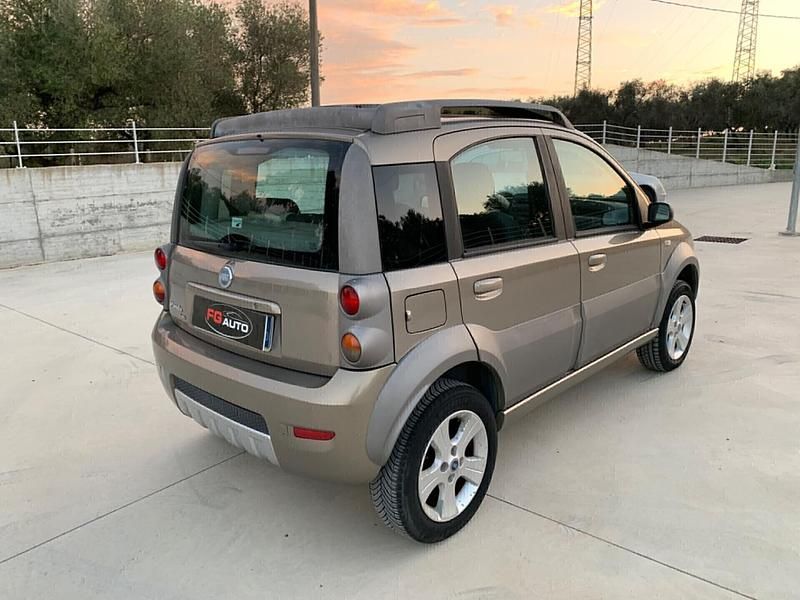 Usata Fiat Panda Cross Cross 75 CV (55 kW) 2006 Verde Utilitaria
