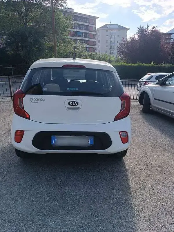 Usata Kia Picanto 67 CV (49 kW) 2019 Bianco Utilitaria
