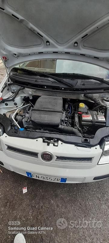 Usata Fiat Panda 2018 Bianco Utilitaria