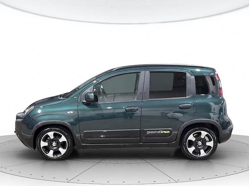 Usata Fiat Panda Cross Cross 70 CV (51 kW) 2025 Verde foresta Utilitaria