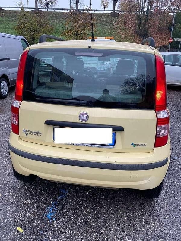 Usata Fiat Panda Dynamic 60 CV (44 kW) 2009 Giallo Utilitaria