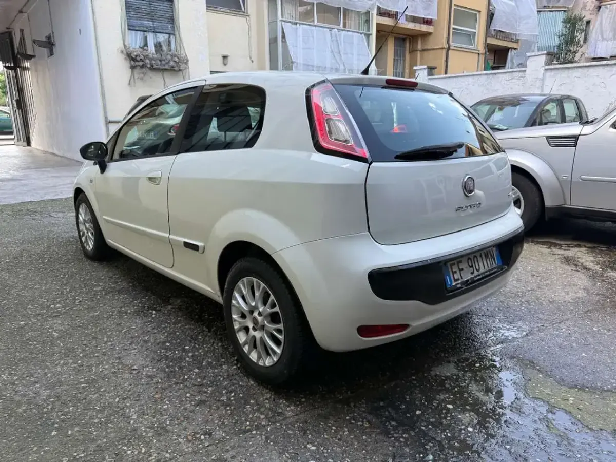 Usata Fiat Punto Evo Dynamic 75 CV (55 kW) 2010 Bianco Utilitaria