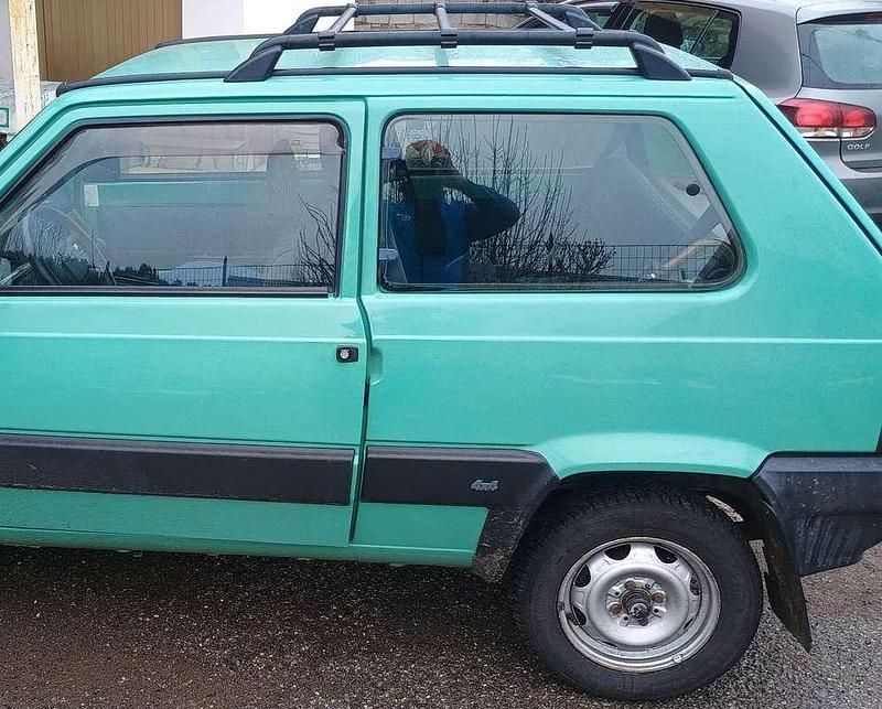 Usata Fiat Panda 4x4 54 CV (39 kW) 2001 Utilitaria