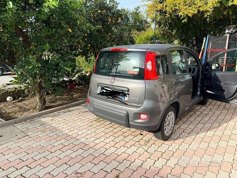 Usata Fiat Panda 70 CV (51 kW) 2023 Grigio Berlina