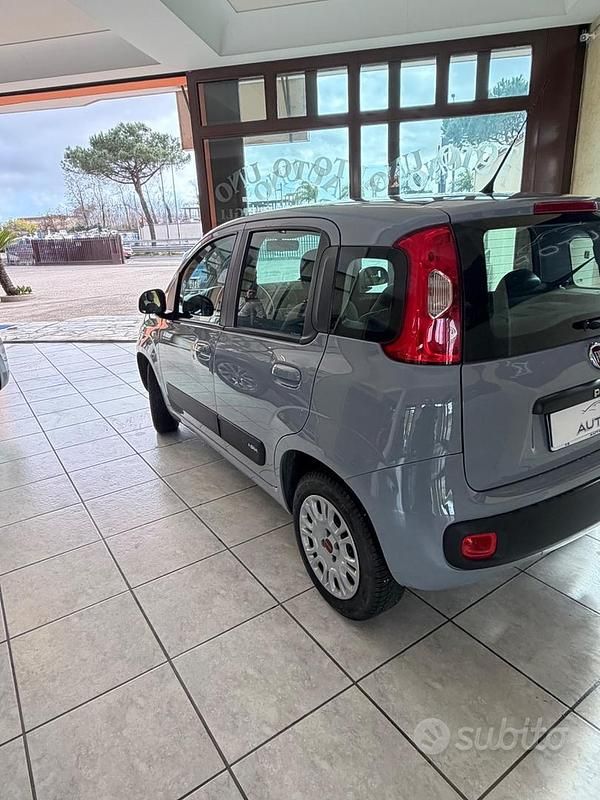 Usata Fiat Panda Easy 2019 Grigio Utilitaria