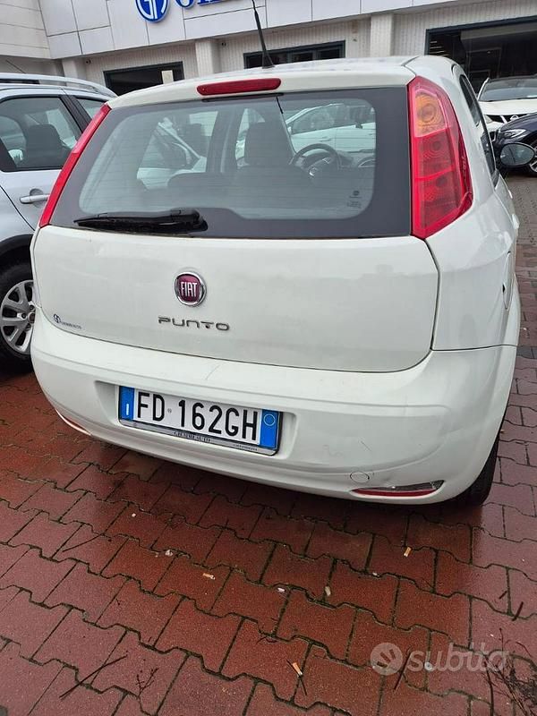 Usata Fiat Punto 65 CV (47 kW) 2016 Bianco Berlina