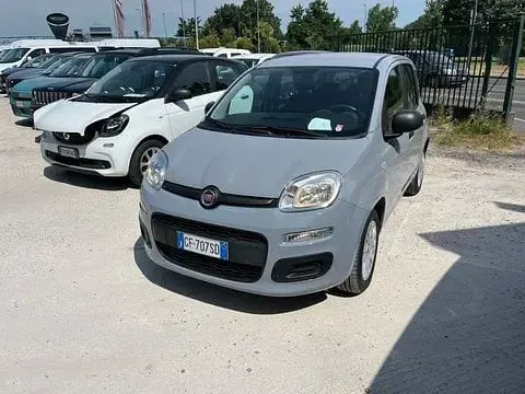 Usata Fiat Panda Easy 69 CV (50 kW) 2021 Utilitaria