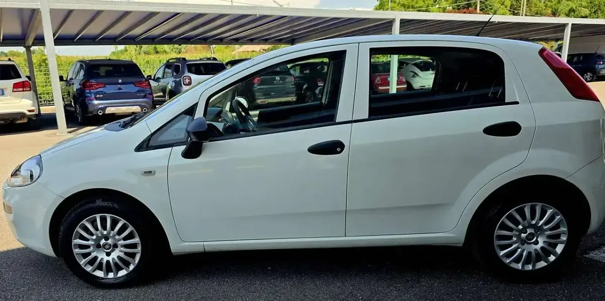 Usata Fiat Punto Mystyle 69 CV (50 kW) 2016 Bianco Utilitaria