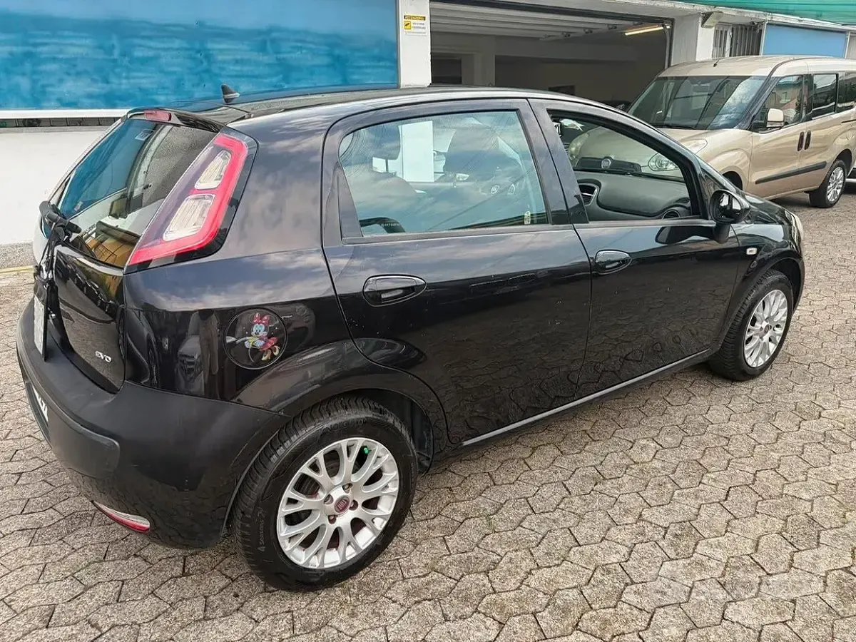 Usata Fiat Punto Evo Dynamic 69 CV (50 kW) 2011 Other Utilitaria