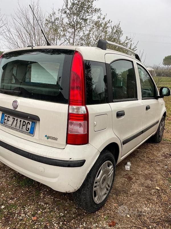 Usata Fiat Panda 77 CV (56 kW) 2010 Bianco Utilitaria