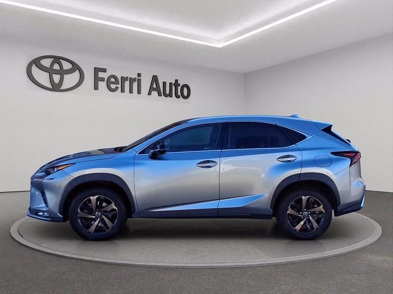 Usata Lexus NX300h 197 CV (144 kW) 2021 Sonic titanium SUV