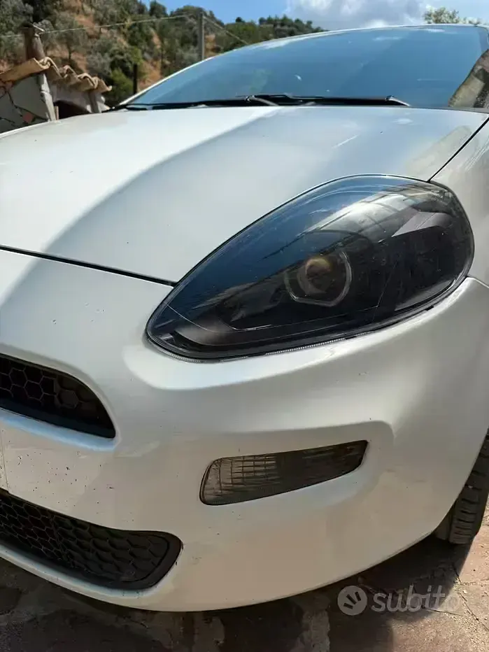 Usata Fiat Punto 75 CV (55 kW) 2014 Bianco Utilitaria