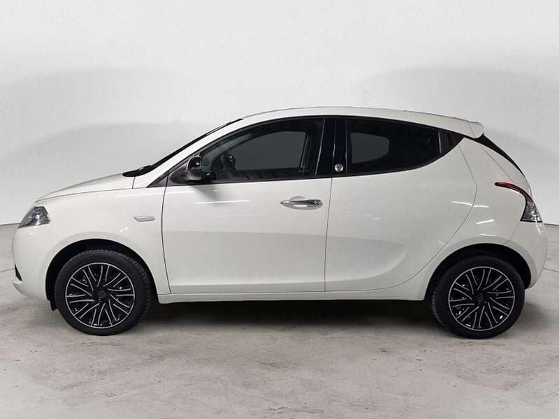 Usata Lancia Ypsilon Gold 69 CV (50 kW) 2019 Bianco Utilitaria