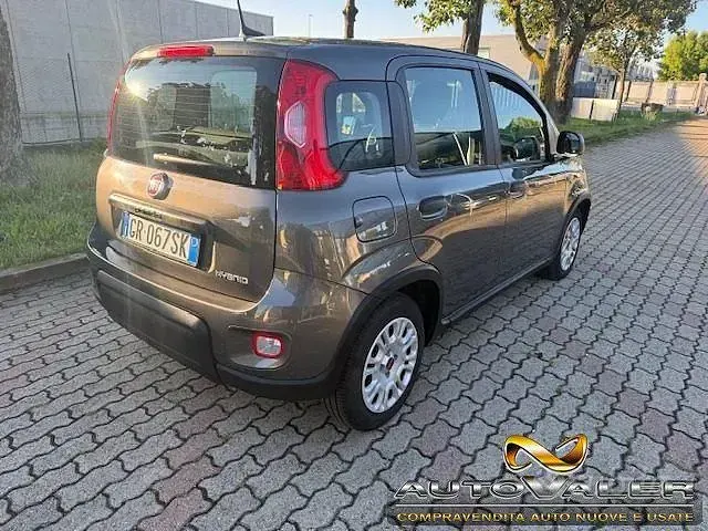 Usata Fiat Panda S 69 CV (50 kW) 2023 Grigio Utilitaria