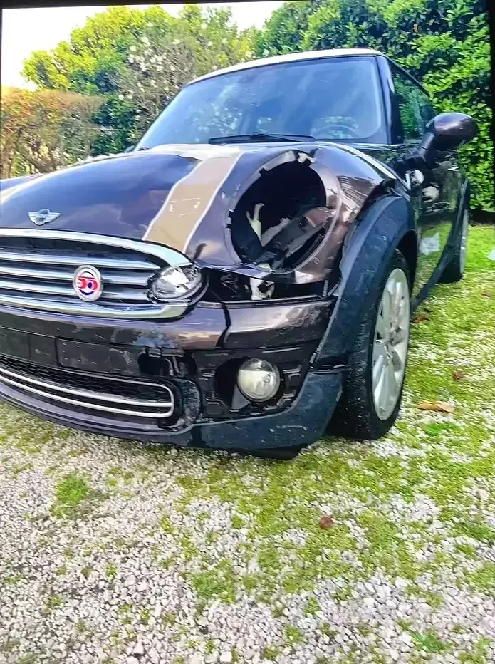 Usata Mini Cooper 109 CV (80 kW) 2009 Utilitaria