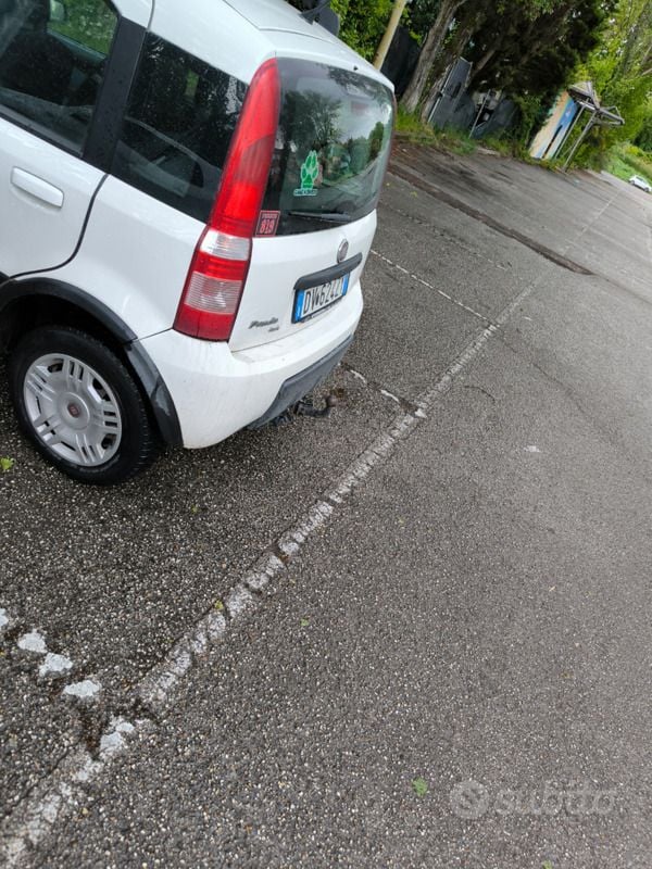 Usata Fiat Panda 4x4 60 CV (44 kW) 2009 Bianco Utilitaria