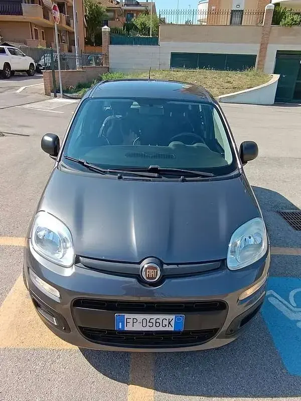 Usata Fiat Panda 69 CV (50 kW) 2018 Grigio Utilitaria