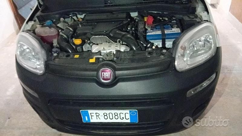 Usata Fiat Panda 2018 Bianco Utilitaria