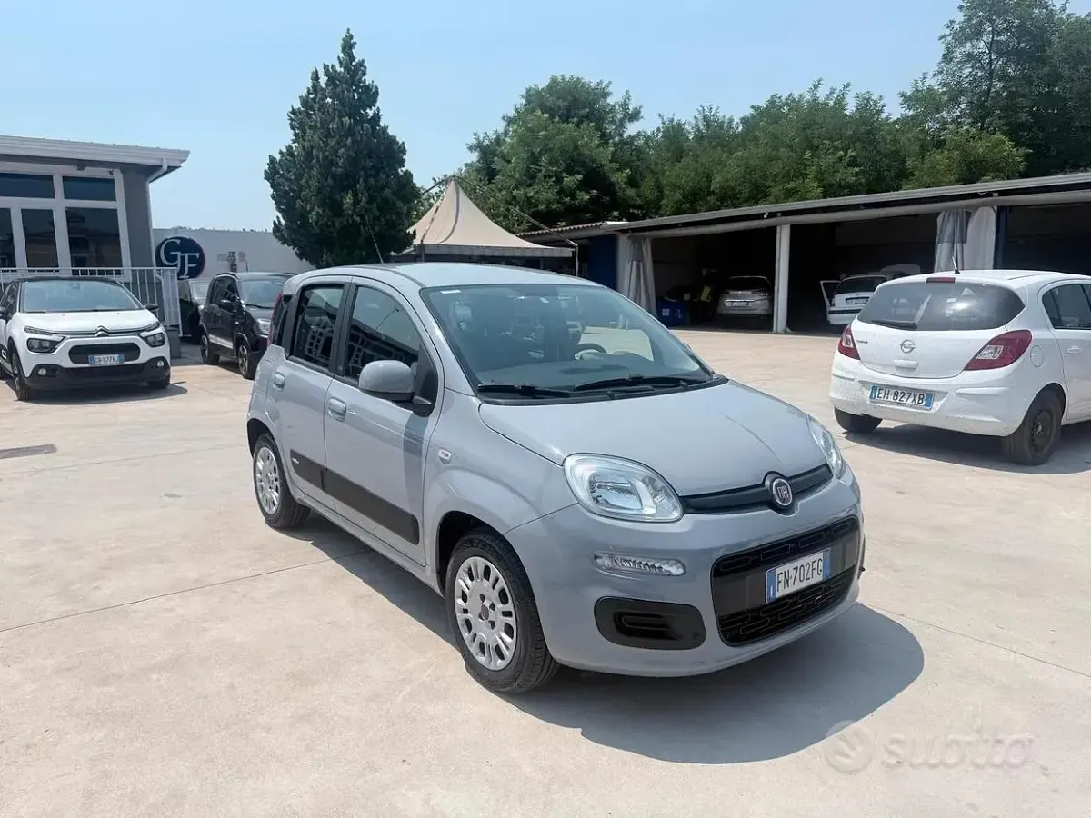 Usata Fiat Panda Easy 69 CV (50 kW) 2017 Grigio Utilitaria