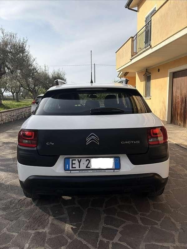 Usata Citroën C4 Cactus Shine 90 CV (66 kW) 2015 Bianco Utilitaria