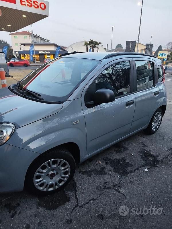 Usata Fiat Panda Easy 69 CV (50 kW) 2018 Grigio Utilitaria