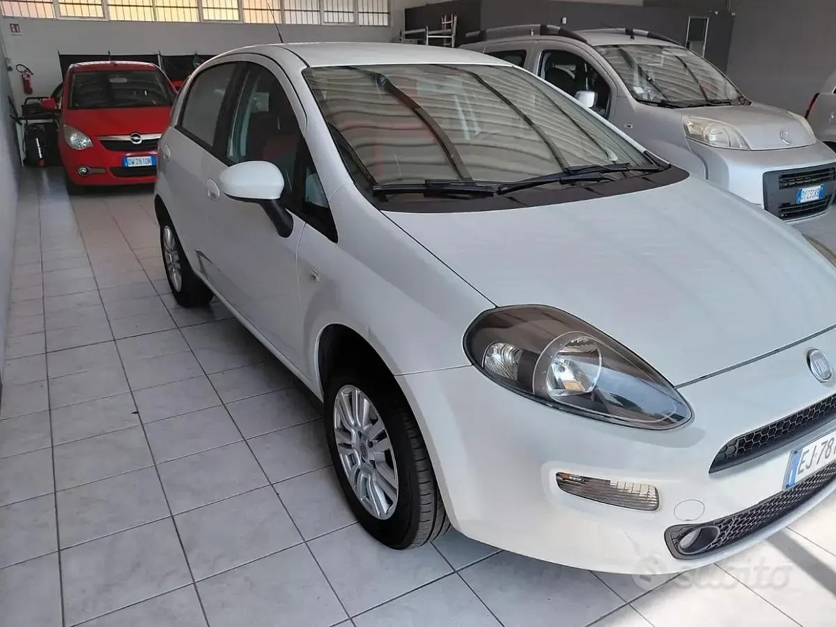 Usata Fiat Punto Pop 70 CV (51 kW) 2012 Bianco Utilitaria