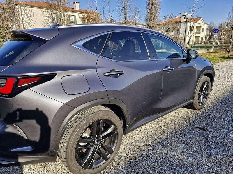 Usata Lexus NX450h+ 185 CV (136 kW) 2024 Grigio SUV