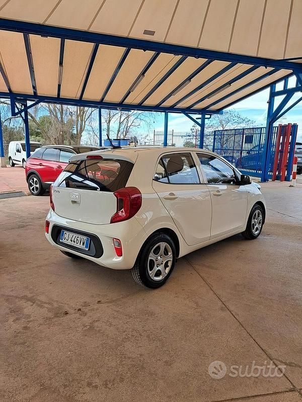 Usata Kia Picanto Urban 67 CV (49 kW) 2022 Bianco Utilitaria