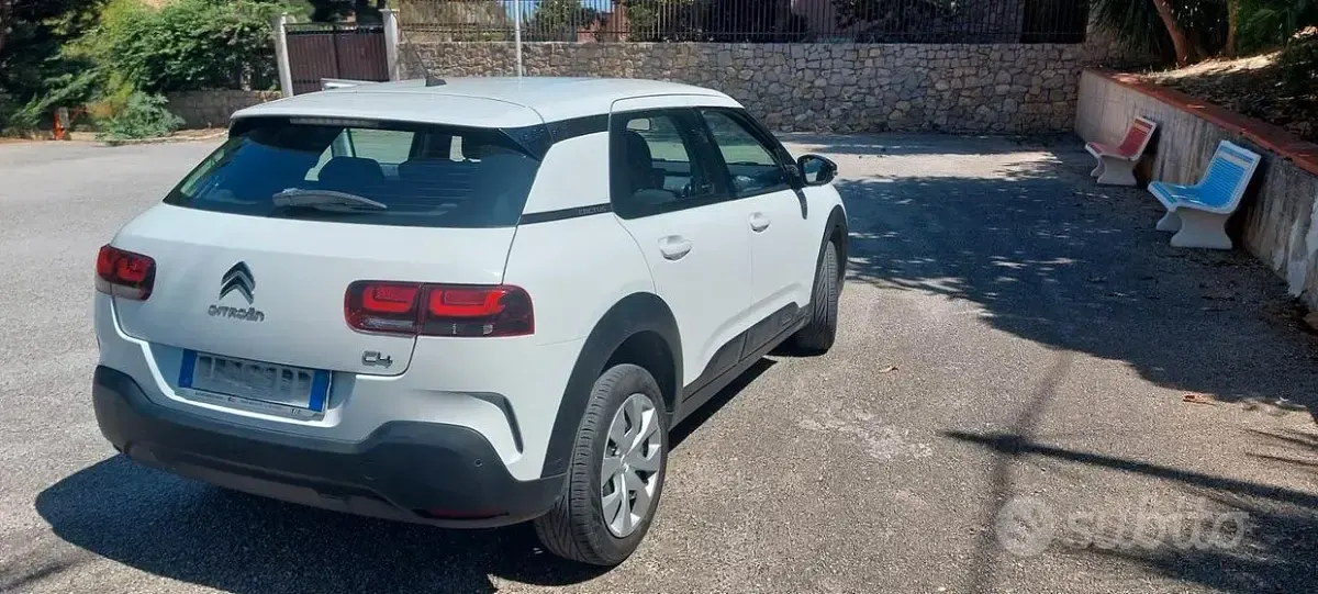 Usata Citroën C4 Cactus 102 CV (75 kW) 2020 Bianco Utilitaria