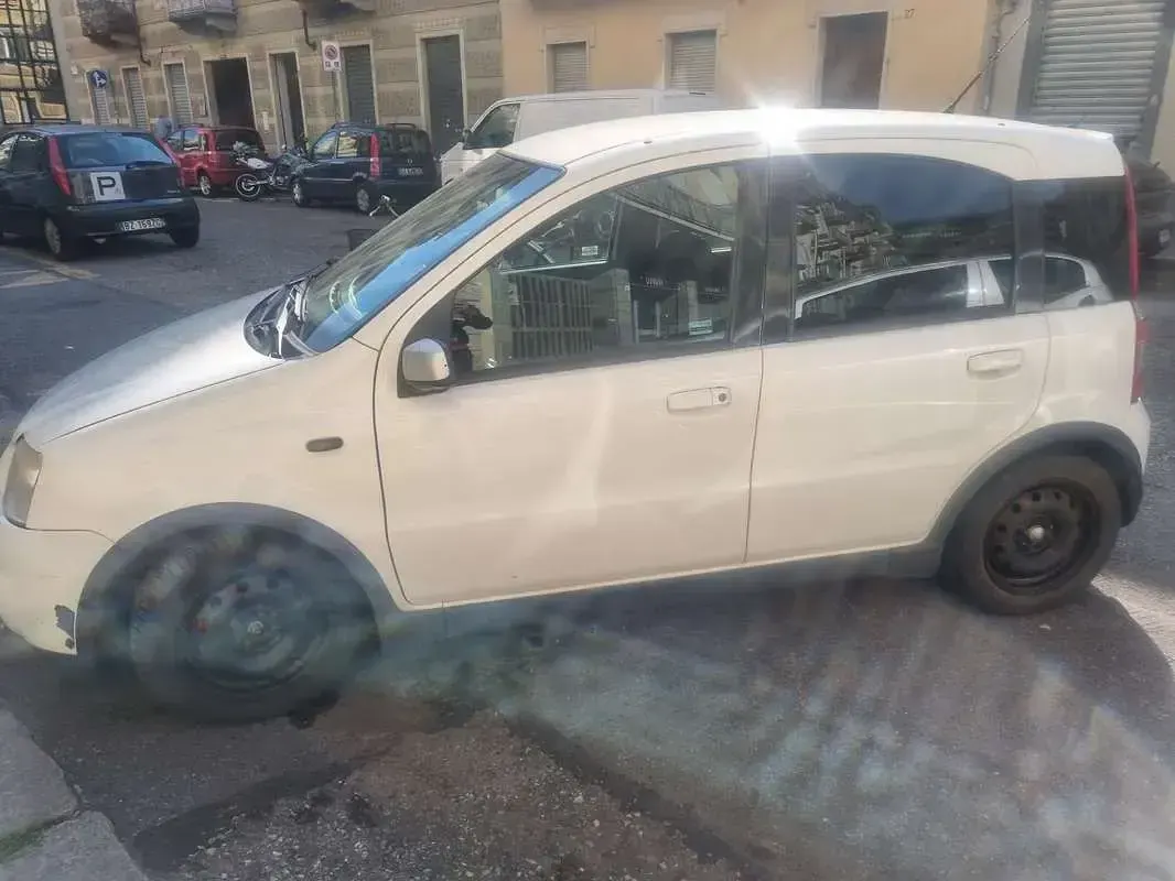 Usata Fiat Panda 101 CV (74 kW) 2008 Utilitaria