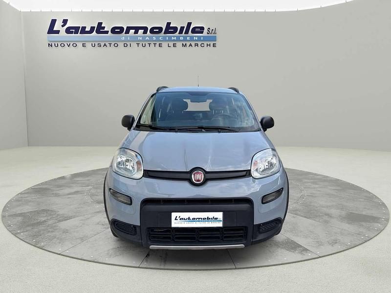Usata Fiat Panda 4x4 S 86 CV (63 kW) 2019 Grigio Utilitaria