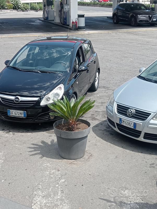 Usata Opel Corsa 58 CV (42 kW) 2007 Nero Berlina